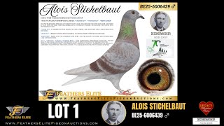 STICHELBAUT 439 β