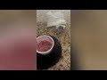 Middle of video