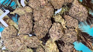 Celebrity Strain Review Oreoz w/ CrenshawFrmTheChi Net Worth