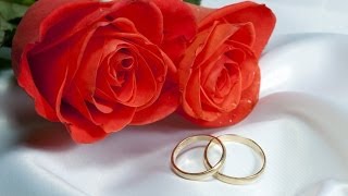 Свадебный футаж: два кольца Свадебный футаж: два кольца