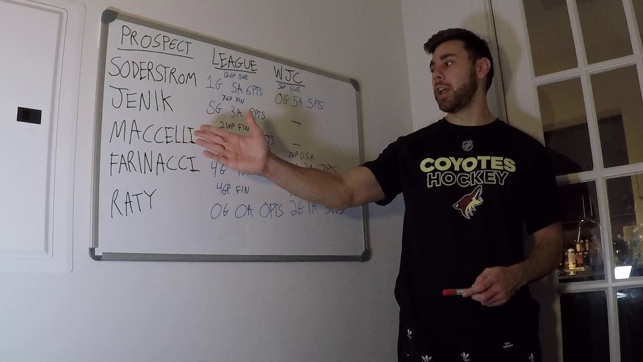 Arizona Coyotes Prospects Update