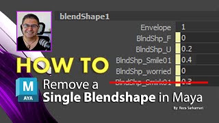 How To : Remove a Single BlendShape in Maya