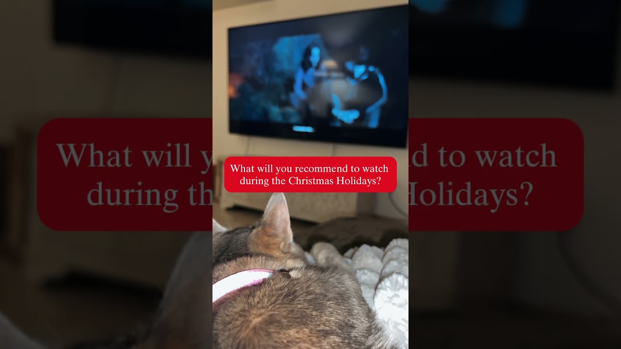 Cat Lakshmi watching a movie 