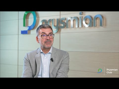 ANIE Rinnovabili: lo stato dell'energia green in Italia e le sfide del futuro