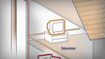 In the Know  What are CAT Ratings