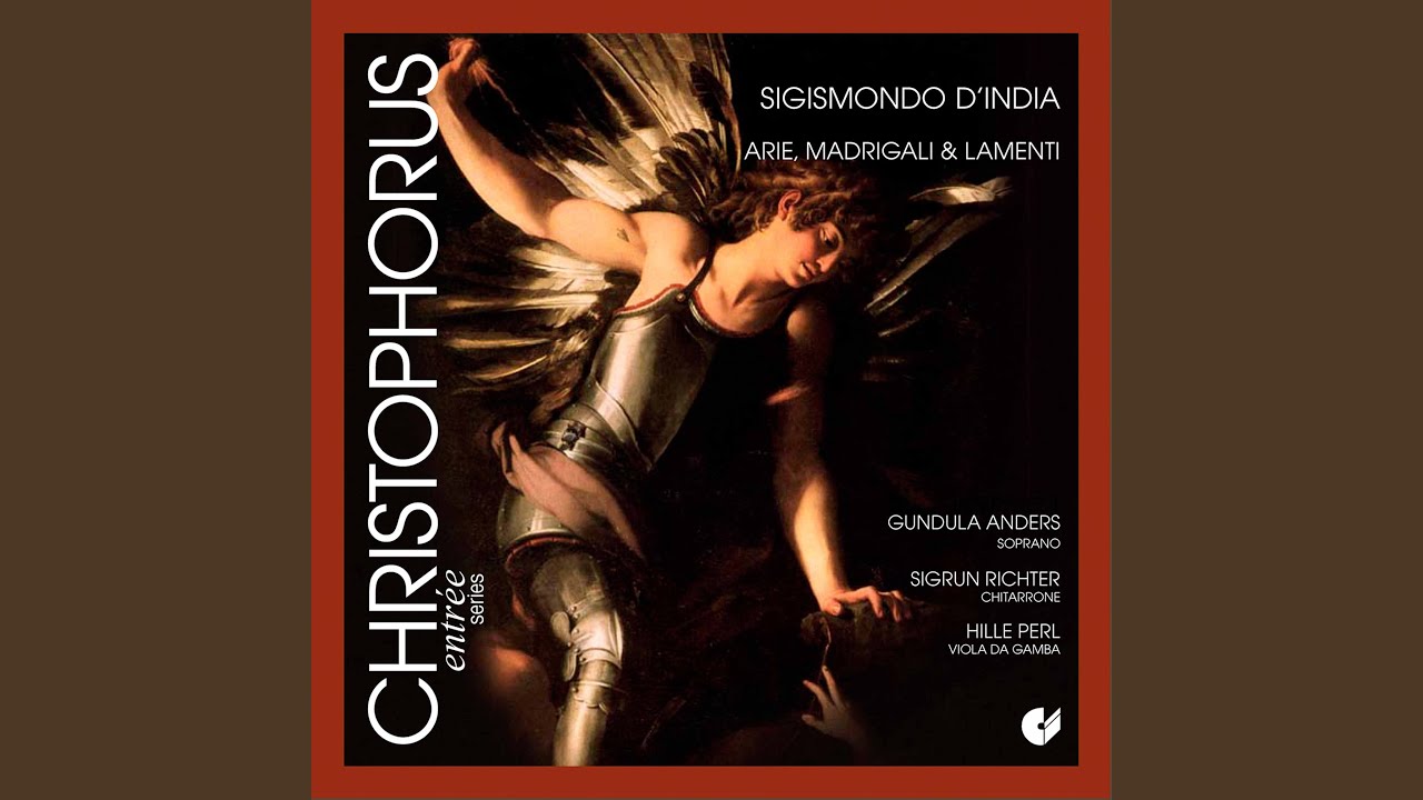 Pallidetta quai viola