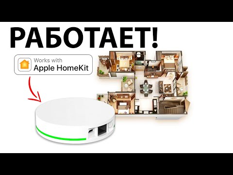 Video: Ar Applebee žydi svogūnai?