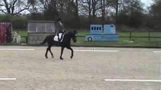 British Dressage - N30 -