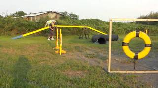 CIMG8016