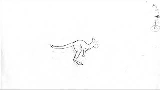 Kangaroo Hopping Animation 3K