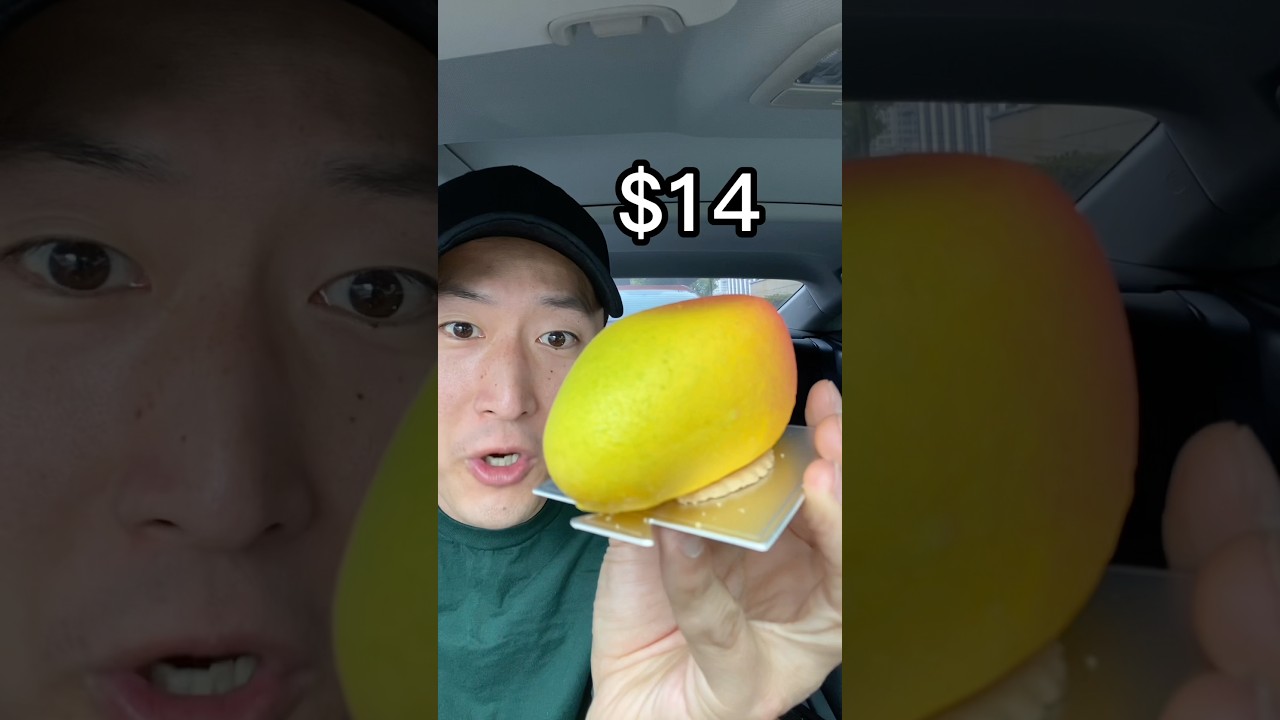 Viral $14 Mango Pastry 🥐 @dlameats