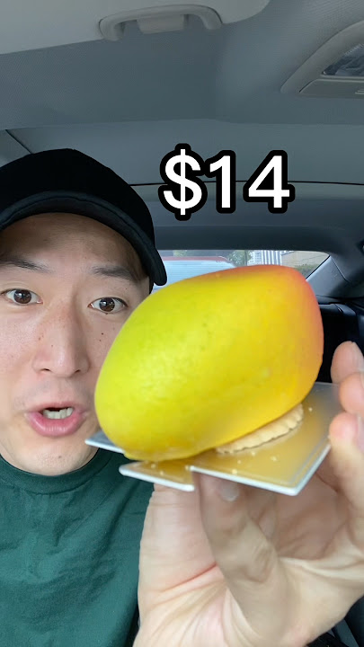 Viral $14 Mango Pastry 🥐 @dlameats