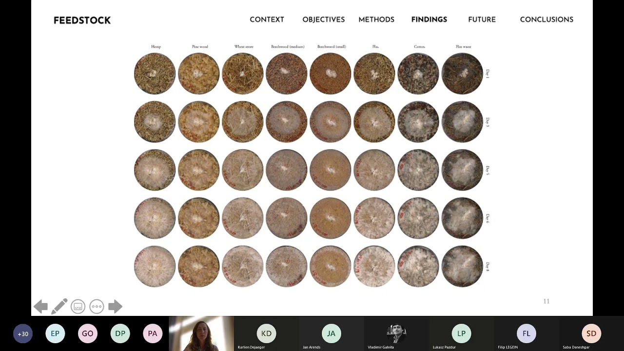 Science Talks: Elise Elsacker on 'Unravelling the properties of mycelium-based materials'