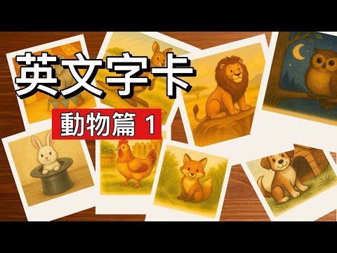 [英文字卡-動物篇-1]單字從0開始||常用單字一把抓||強化記憶輕鬆學英文