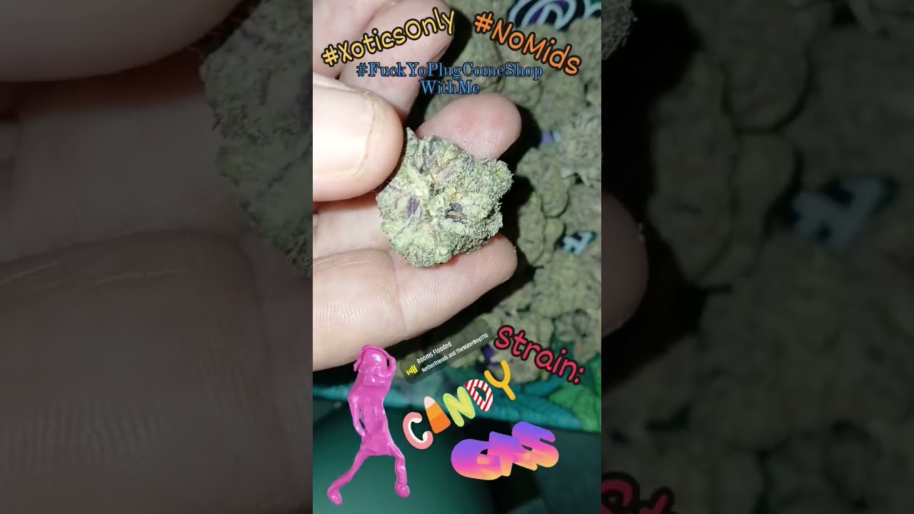 Strain Candy Gas 🍬 ⛽️ Exotic Cali Flower 