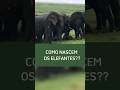 INCRÍVEL NASCIMENTO DE BEBÊ ELEFANTE!!