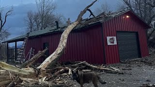 Community support pours in for Logan coffee shop after tree damages roaster building