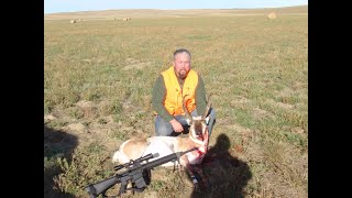 Pronghorn hunt in Terry, Montana with Double D Outfitters.