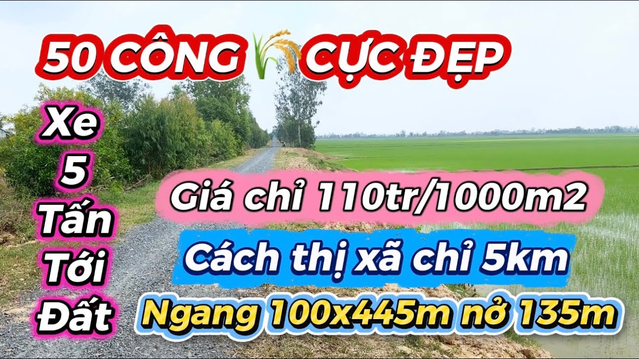 ( số 16 ) 50 công siêu đẹp - siêu rẻ - xe 5 tấn tới đất tại Mộc Hoá - Long An 