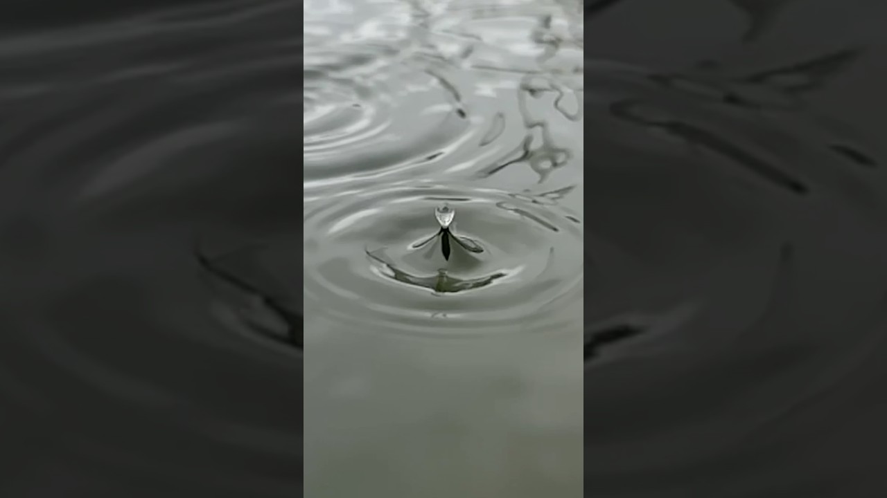 Музыка дождя "Капли на воде"