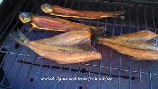 Newfoundland, Hunt4fish Summer Projects 2025 and Some Preclips