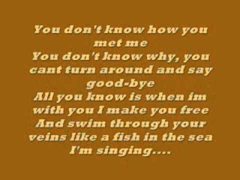 How could you play me Lyrics - Follow Lyrics