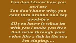 Video thumbnail of "Uncle Kracker follow me lyrics"