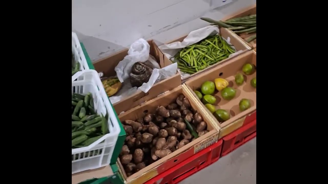 nside Dong Xuan Center Berlin 🇩🇪 | Europe’s Biggest Asian Market | Street Food & Shopping