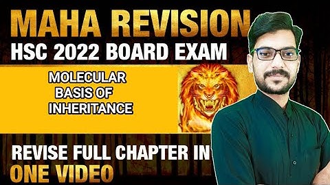 MOLECULAR BASIS OF INHERITANCE #MAHAREVISION#2022MHboard2022#neet#mhtcet2022