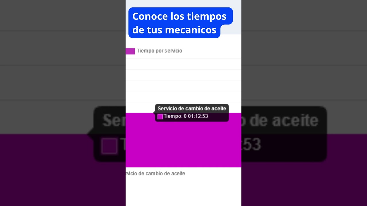 Conoce el Rendimiento de tus Mecánicos y de tu Taller con Taller Alpha
