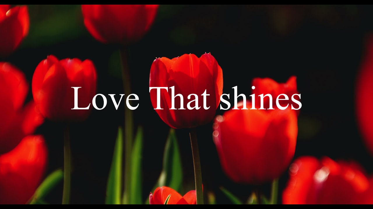 TRUE MEANING OF LOVE QUOTES AND SAYINGS