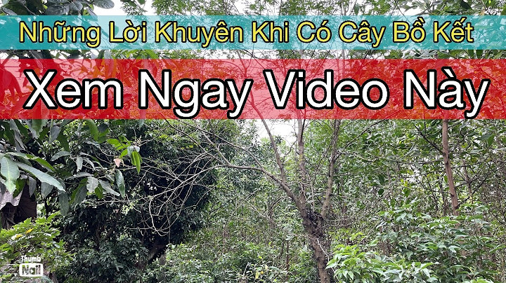 Hướng dẫn kỹ thuật trồng cây bồ kết