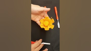 Tỉa hoa cà rốt không hề khó #shortvideo