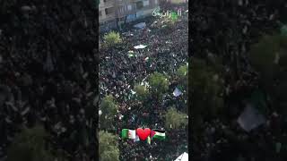 من الجزائر هنا فلسطين ????
