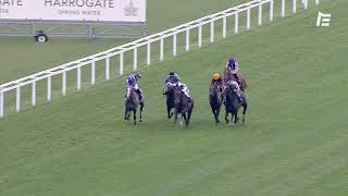 Vidéo de la course PMU KING EDWARD VII STAKES