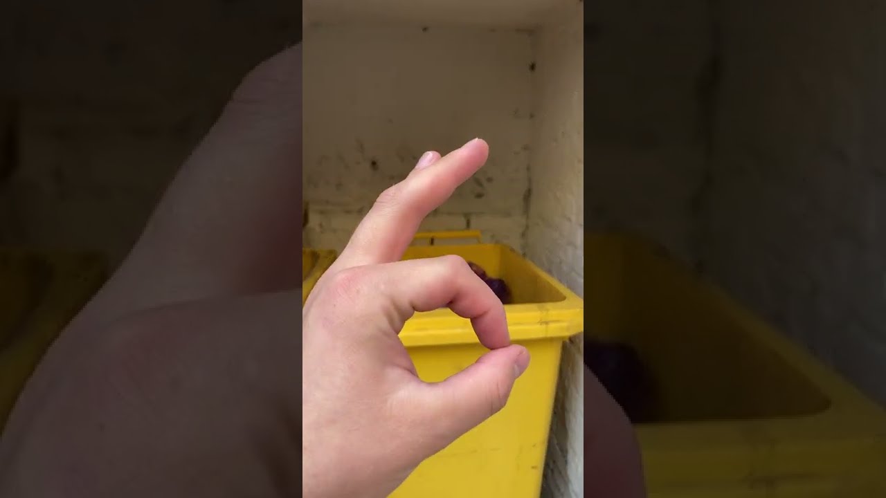 How to throw trash in a yellow trash can. 