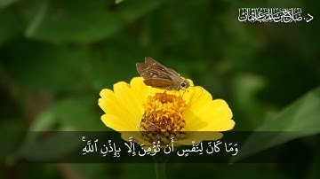 فَلَوْلَا كَانَتْ قَرْيَةٌ آمَنَتْ فَنَفَعَهَا إِيمَانُهَا | سورة يونس | آية 98