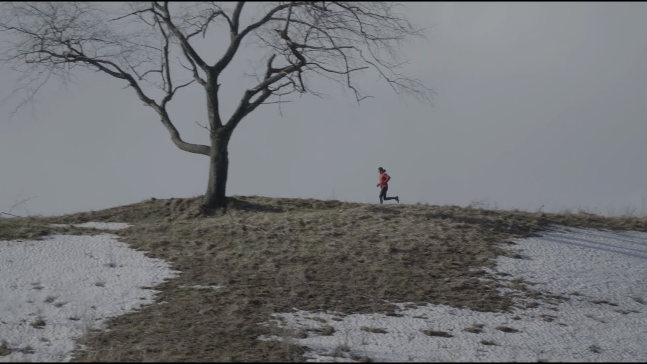 Featuring Canadian Painter & Ultra Marathoner Runner Peter Taylor