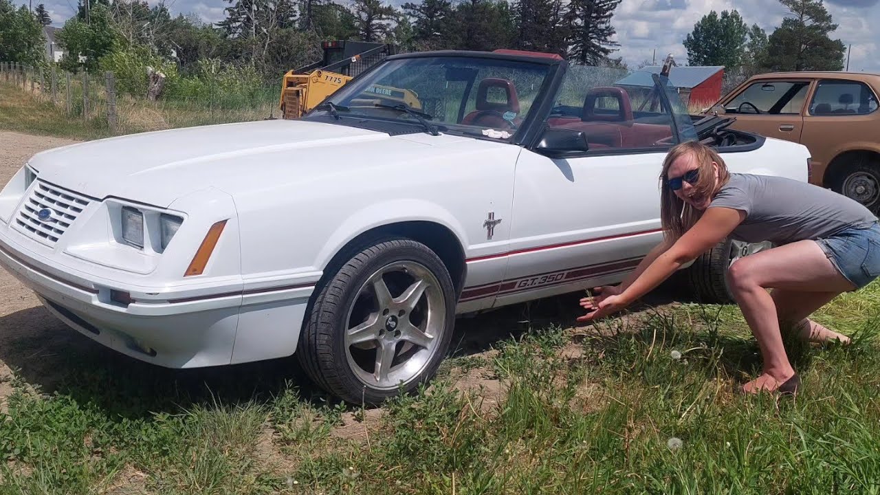 1984 Ford Mustang GT350 full walk around and running Near mint