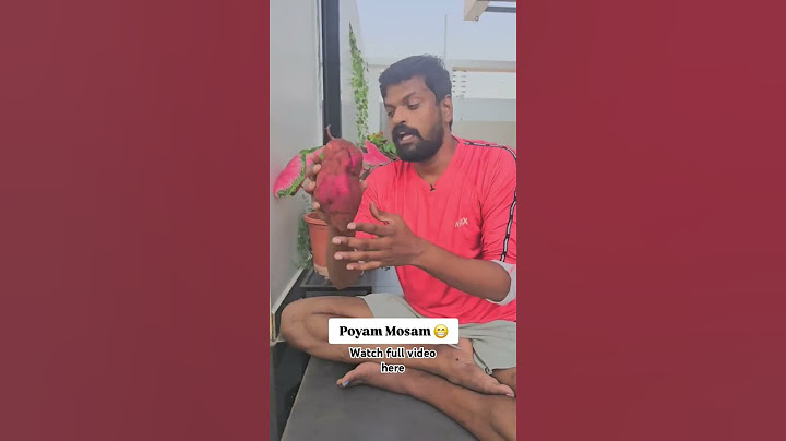 mosapoyam | Adi Reddy | Sweet potato Plants | Funny Shorts