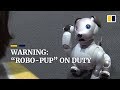 Sony S Latest Robot Dog Keeps Family Csafe