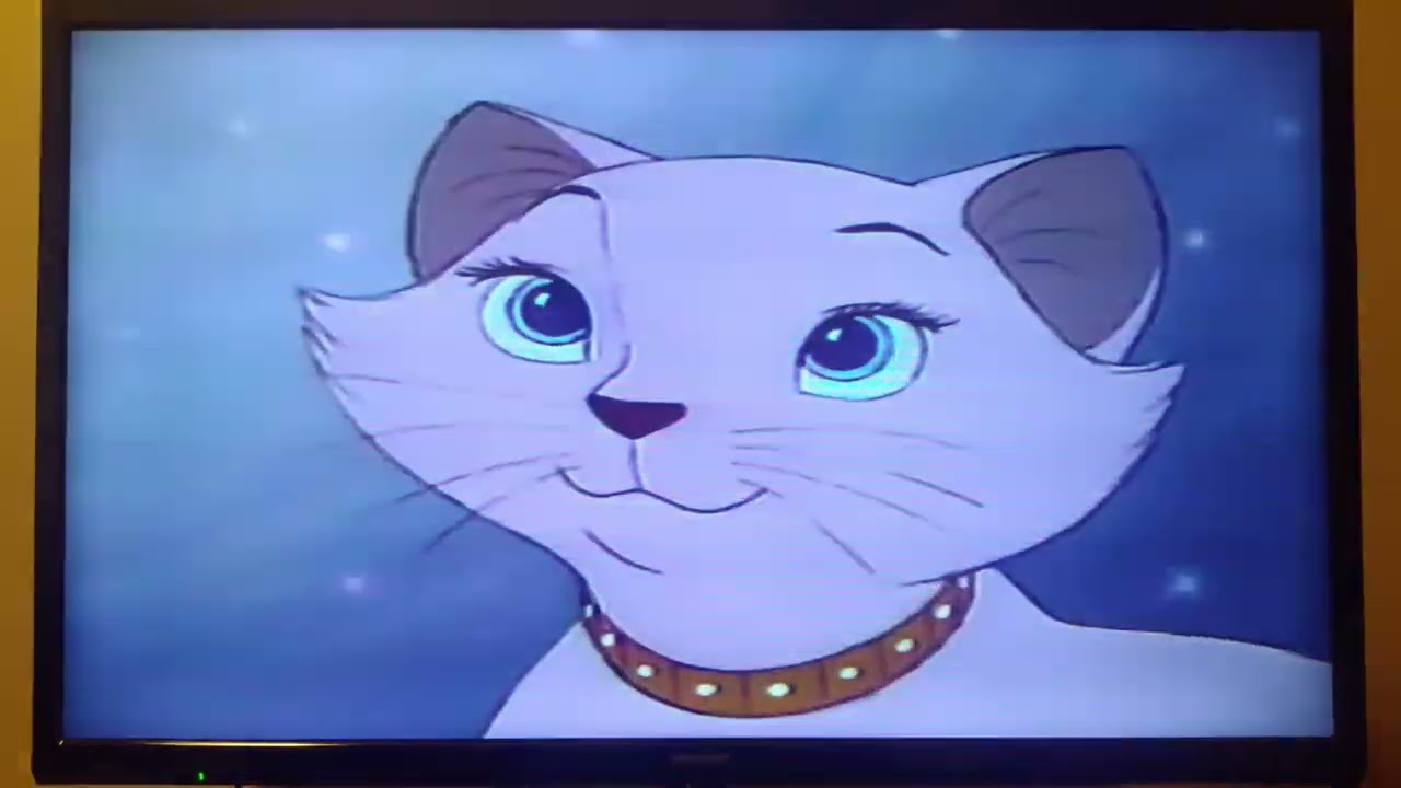 くまのプーさん 完全保存版 ディズニーvhs 予定集2 Youtube
