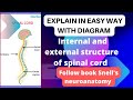 Detail of spinal cord| Internal and external structure of spinal cord| Neuroanatomy lecture