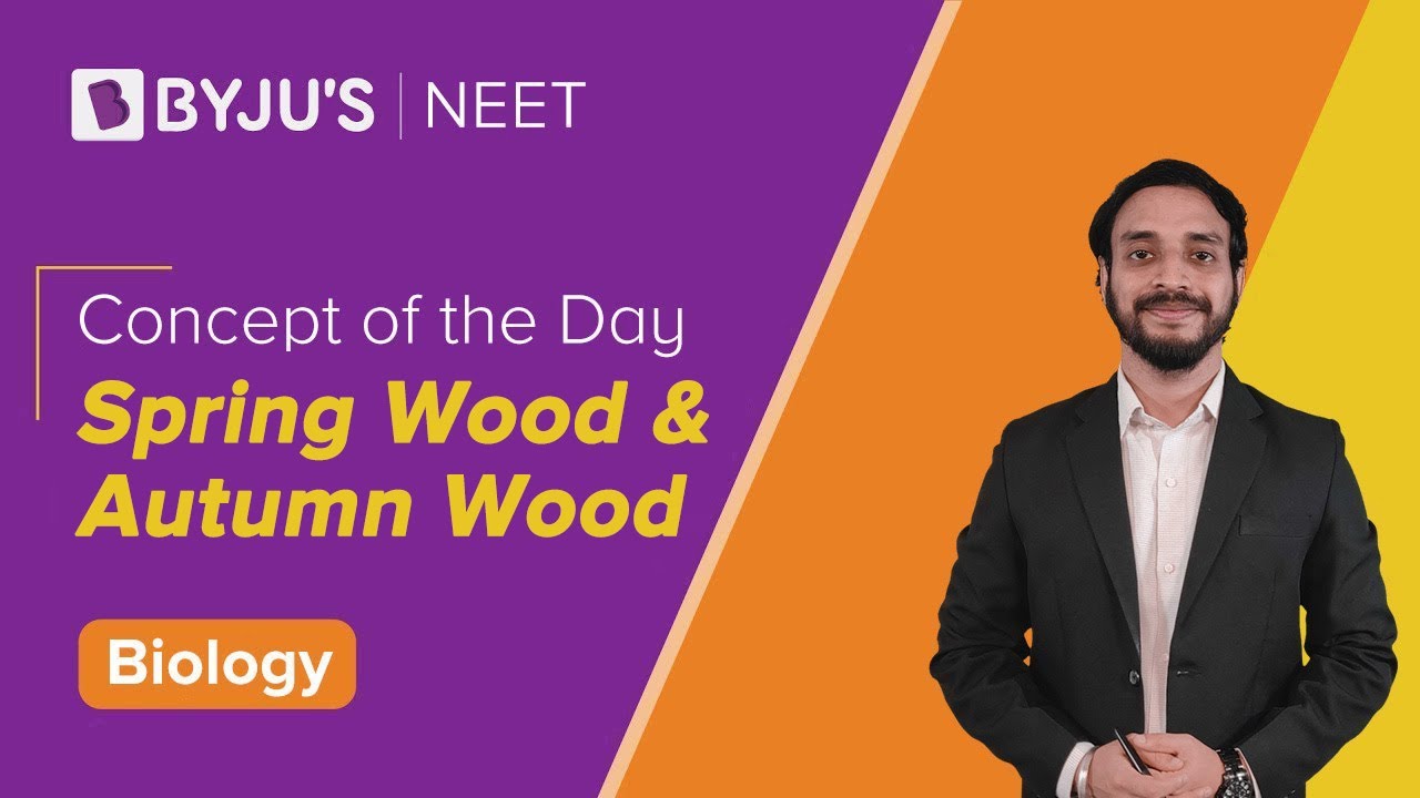 Spring wood and Autumn wood | BIOLOGY | NEET | Concept of the Day | Pushpendu Sir