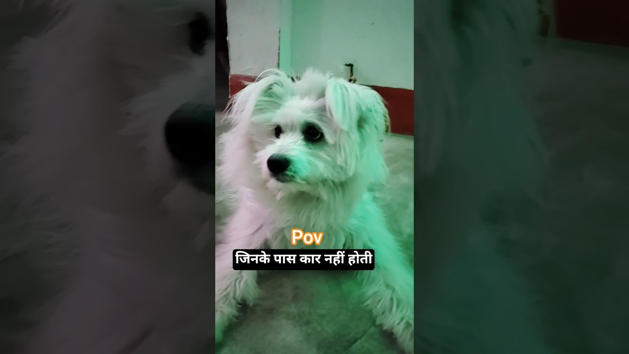 कोशिश करने वालों की हार नहीं होती 😌🥹 