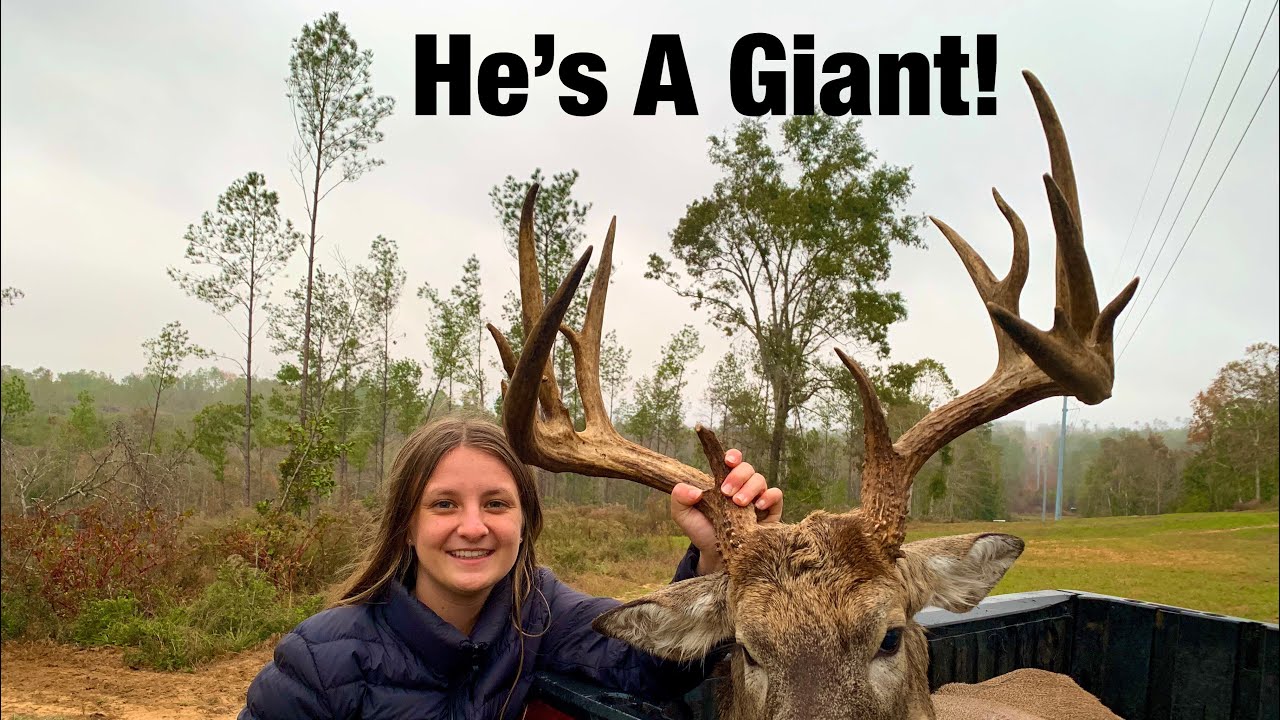 17 Point Giant Buck In Florida YouTube