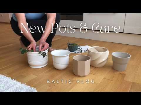 Indoor Plant Repotting | Growing My Houseplants Collection at 60 | Slow Living Vlog