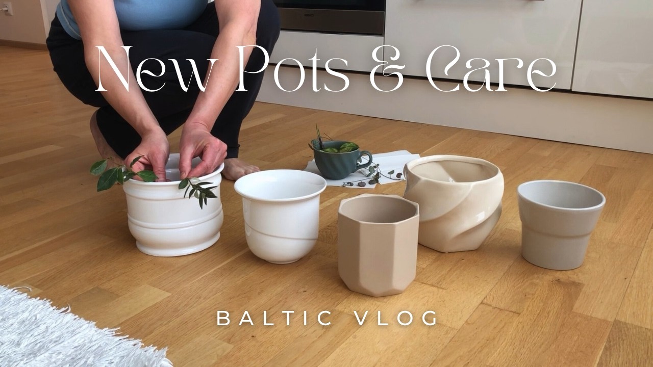 Indoor Plant Repotting | Growing My Houseplants Collection at 60 | Slow Living Vlog