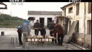 20141218 致富经 就是要让你赚钱