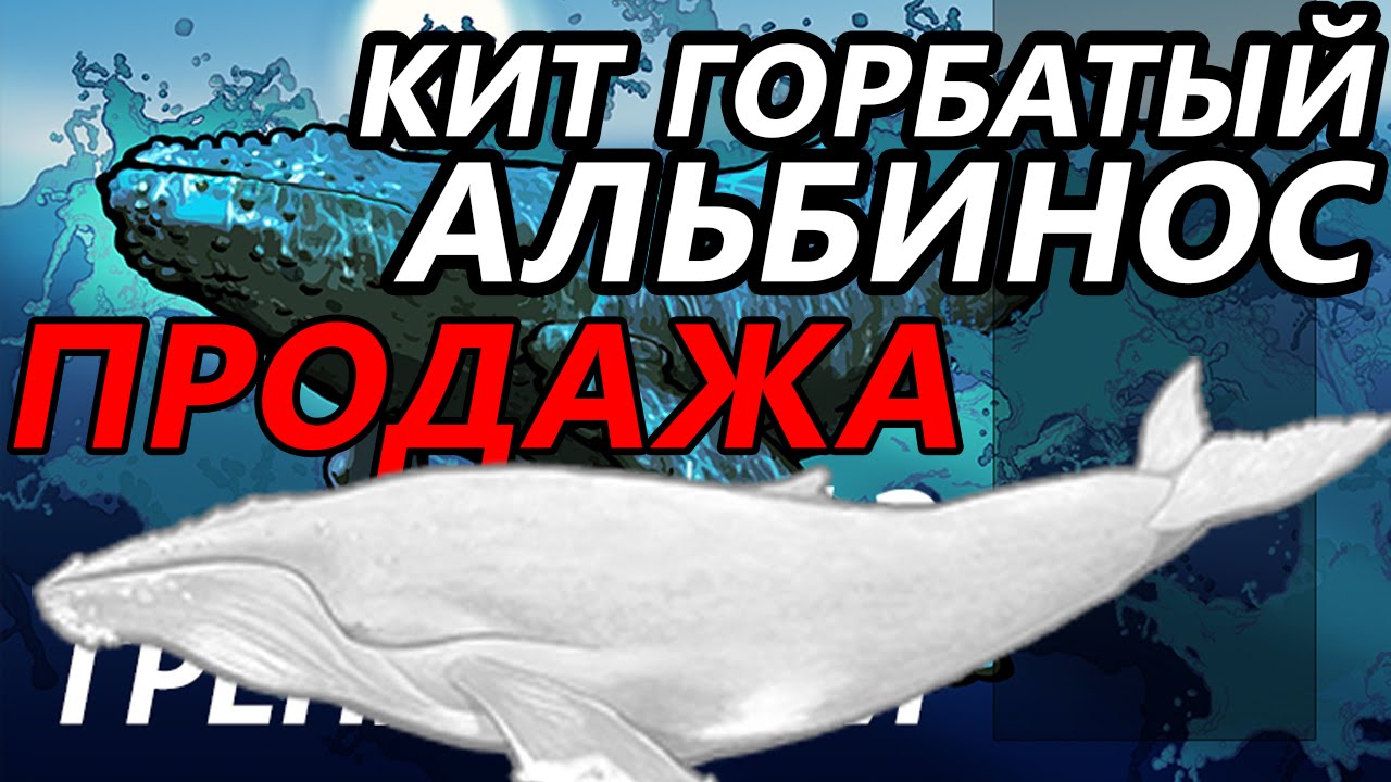 Рр3 волга триада